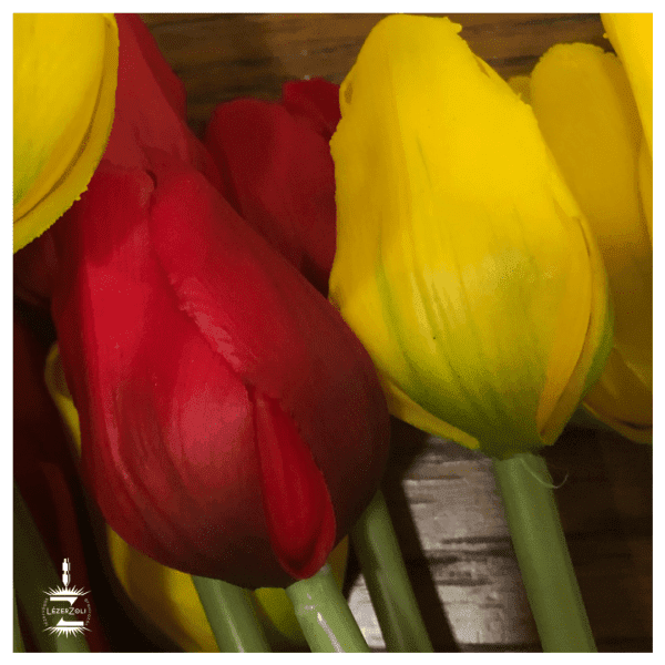 Élethű gumi tulipán - Image 3